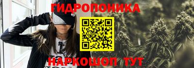 тгк Ипатово